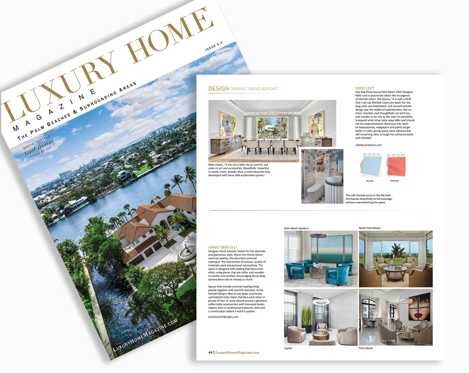 Luxury Home Magazine March 2023 Annie Santulli Designs Top Palm Luxury Home Magazine March 2023 Annie Santulli Designs Top Palm